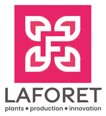 PEPINIERES LA FORET Jeunes Plants