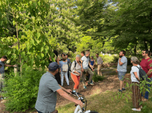 Apéro réseau du 24 juin 2025 : L’arboretum de Nantes au cimetière-parc