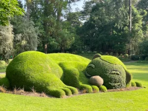 Le Jardin des Plantes