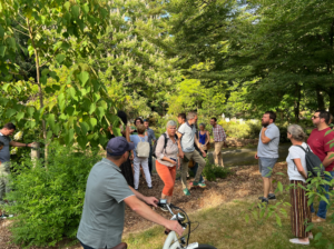 ARCHIVE : Apéro réseau du 24 juin 2025 : L’arboretum de Nantes au cimetière-parc