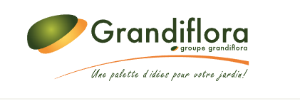 GRANDIFLORA GICQUIAUD