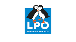 Comptage des oiseaux