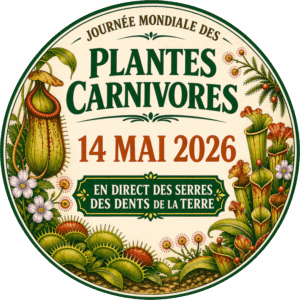 14/05 – Les dents de la Terre