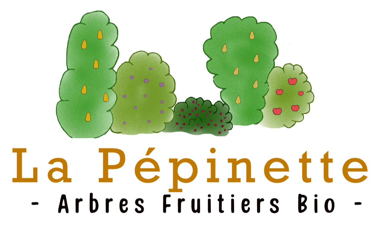 La Pépinette